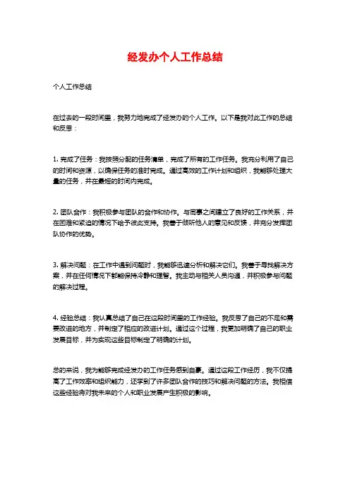 经发办个人工作总结