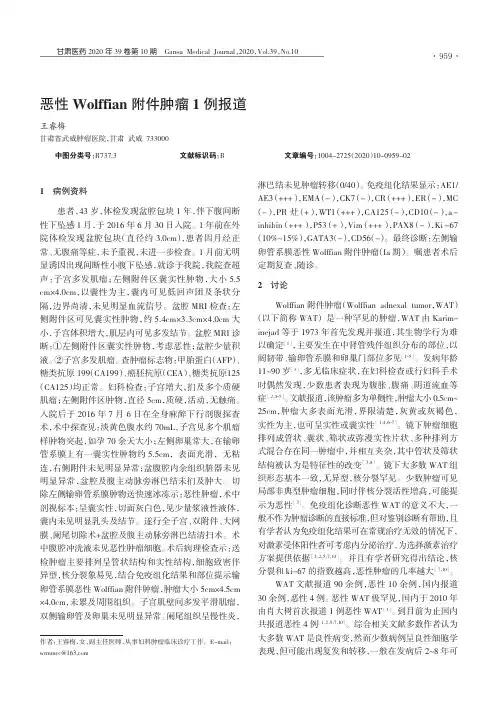 恶性Wolffian附件肿瘤1例报道