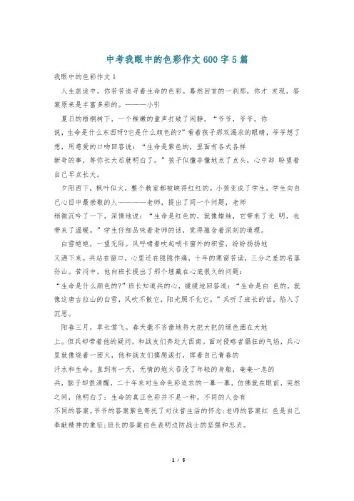 中考我眼中的色彩作文600字5篇