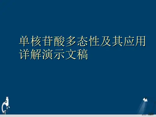 单核苷酸多态性及其应用详解演示文稿