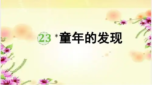 童年的发现 ppt课件