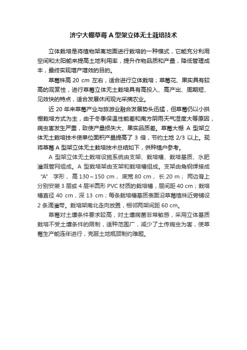 济宁大棚草莓A型架立体无土栽培技术