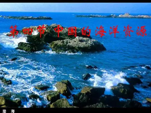 第四节 中国的海洋资源课件
