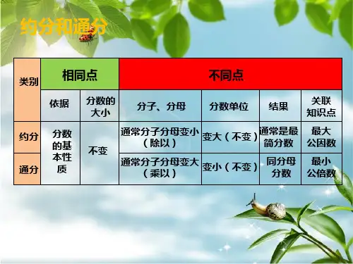 人教版小学五年级下册最大公因数最小公倍数ppt课件