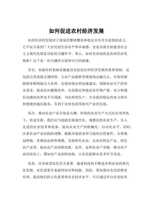 如何促进农村经济发展