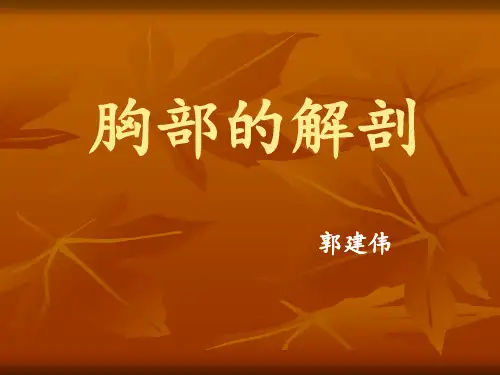 1.胸部正常解剖