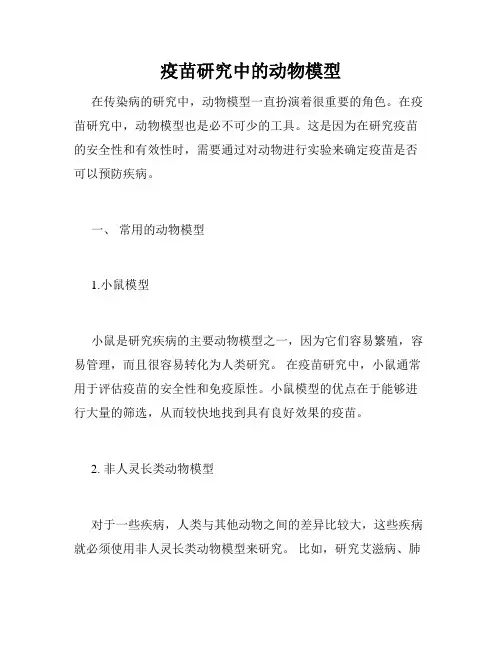 疫苗研究中的动物模型