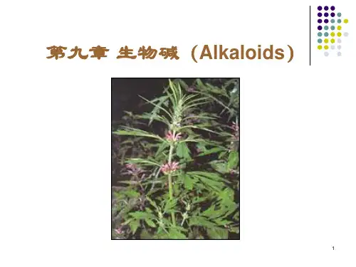 第九章 生物碱