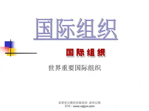 国际组织