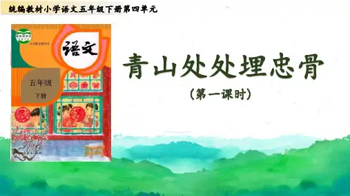 青山处处埋忠骨ppt课件