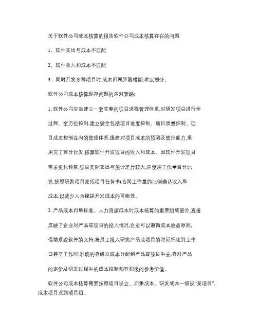 关于软件公司成本核算的报告(精)