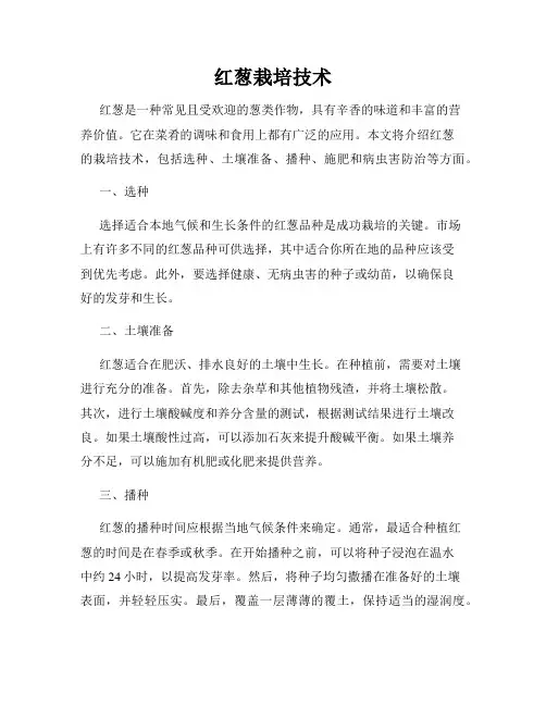 红葱栽培技术