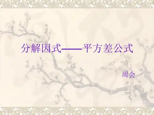 平方差公式分解因式