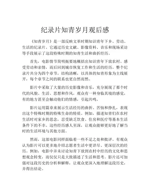 纪录片知青岁月观后感