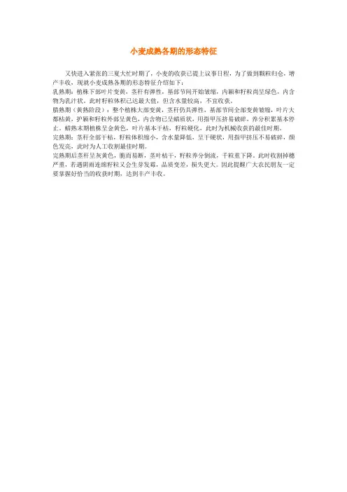 小麦成熟各期的形态特征