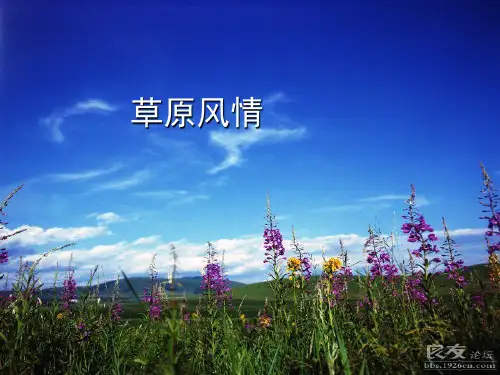 草原风情PPT课件