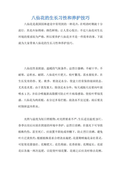 八仙花的生长习性和养护技巧