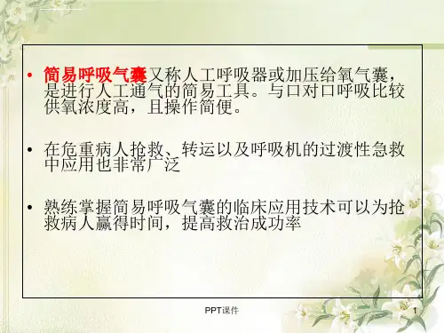 简易呼吸气囊的使用-ppt课件