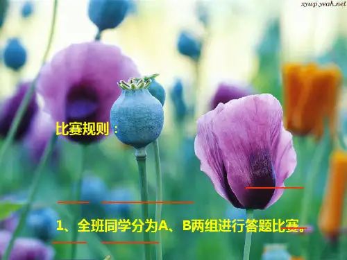 成语大赛(小学生)[优质ppt]
