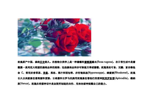 植物百科