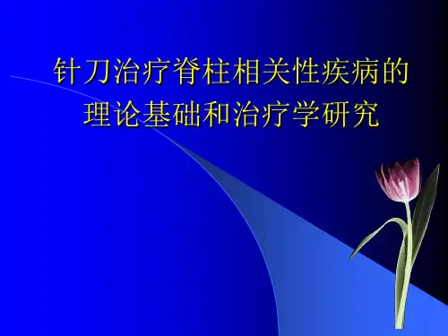 针刀治疗针刀治疗脊柱相关性疾病的理论基础和治疗学研究PPT精品医学课件