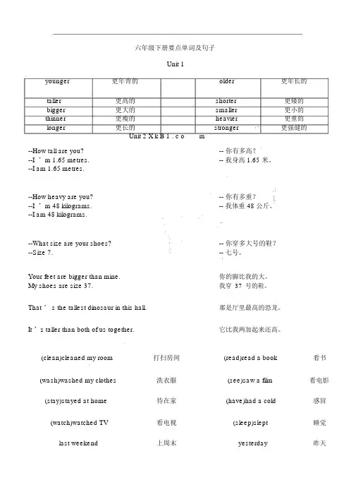最新PEP六年级英语下册重点单词和句子汇总