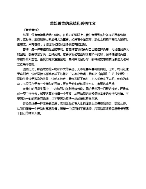 善始善终的总结和感悟作文
