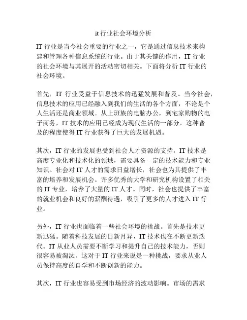 it行业社会环境分析