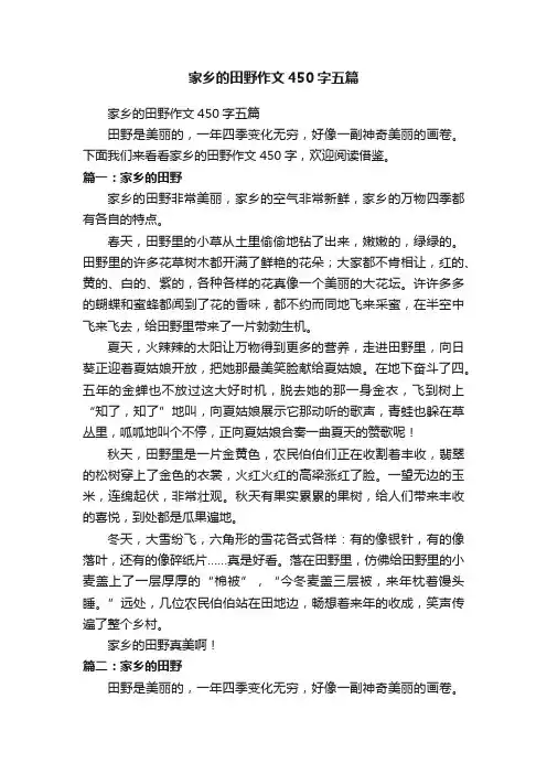 家乡的田野作文450字五篇
