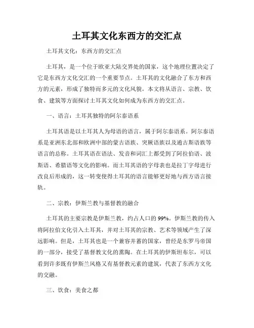 土耳其文化东西方的交汇点