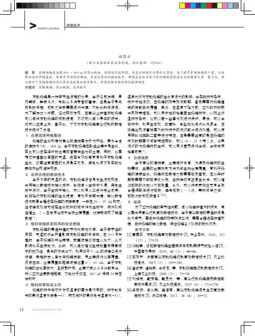 东魁杨梅的高山迟熟高效栽培技术要点