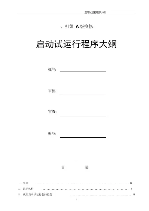 启动试运行程序大纲