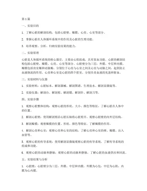 心的构造实验报告(3篇)