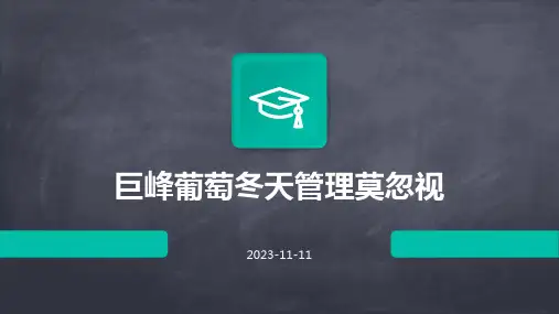 巨峰葡萄冬天管理莫忽视