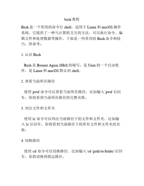 bash教程
