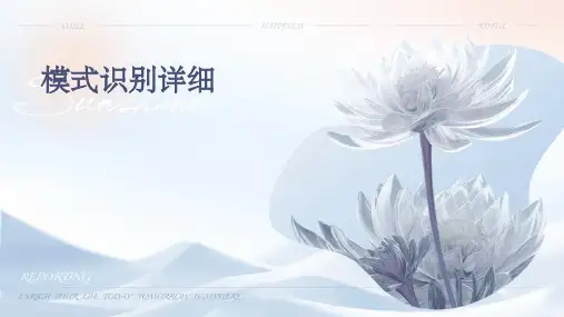 模式识别详细PPT