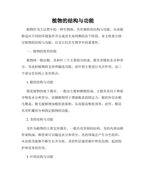 植物的结构与功能