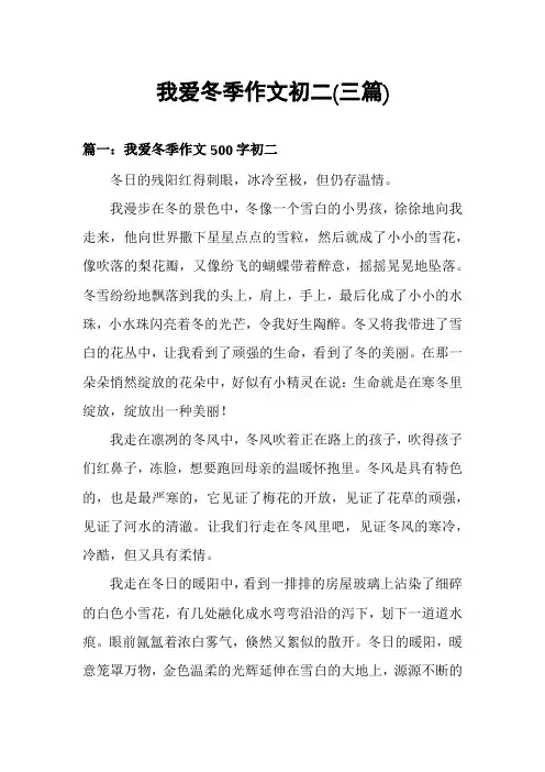 我爱冬季作文初二(三篇)