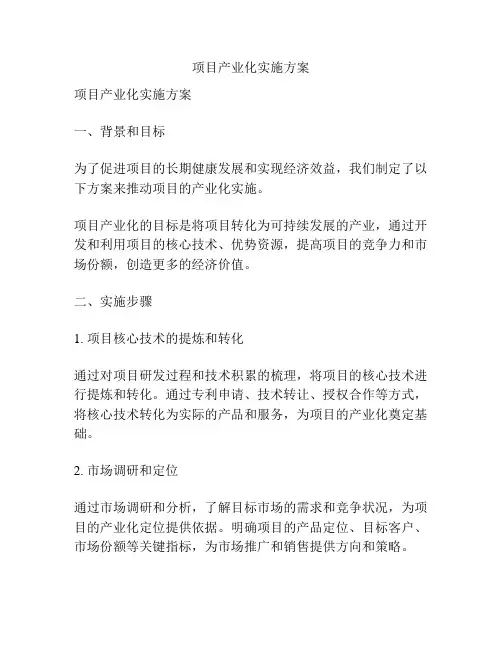 项目产业化实施方案