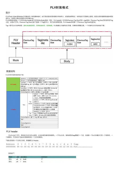 FLV封装格式