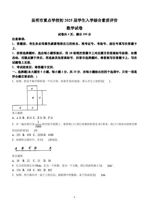 云南省昆明市重点学校2023-2024学年七年级上学期入学考试数学试题(含答案)