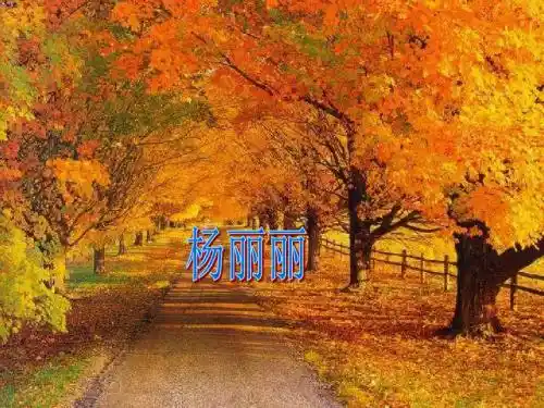 初中语文《秋天》(共41张)ppt144