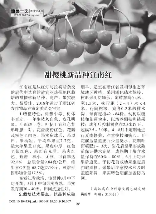 甜樱桃新品种江南红