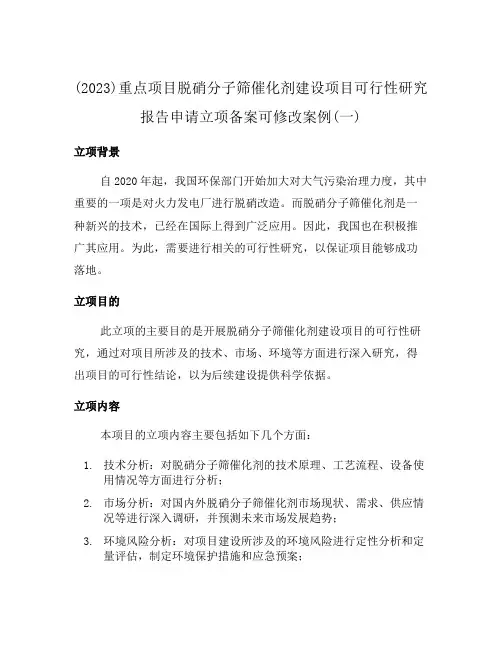 (2023)重点项目脱硝分子筛催化剂建设项目可行性研究报告申请立项备案可修改案例(一)