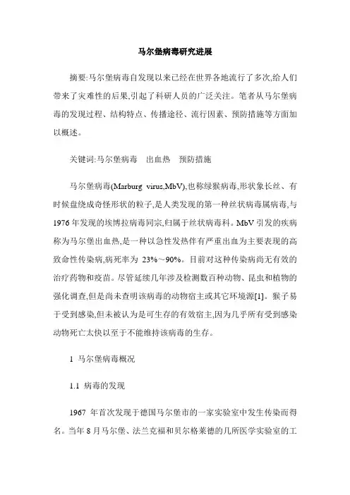 马尔堡病毒研究进展