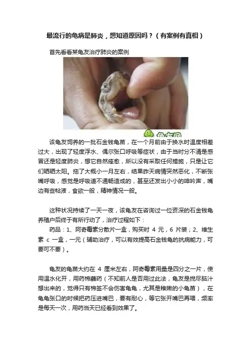 最流行的龟病是肺炎，想知道原因吗？（有案例有真相）