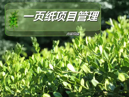 一页纸项目管理