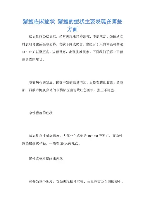 猪瘟临床症状 猪瘟的症状主要表现在哪些方面