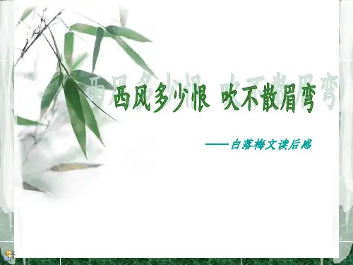 白落梅文读后感——西风多少恨,吹不散眉弯