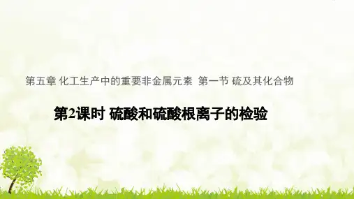 人教版高中化学《硫及其化合物》教学课件1